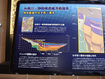 つくば市，地質標本館にあ岡谷断層の発掘断面図