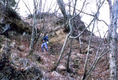 Iguchi explores forests for beetles.