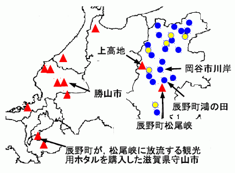 長野県と北陸・関西のゲンジボタル DNA の 3 タイプ分布